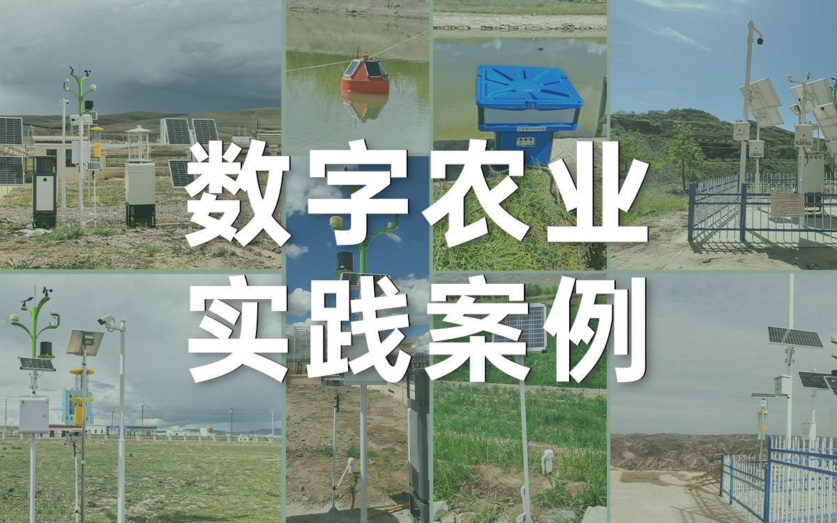 案例深一度 | Z6·尊龙凯时「中国」官方网站科技如何用数字科技赋能西部农业